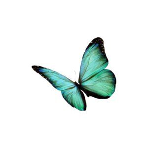 Meet your Posher, Jenniffer